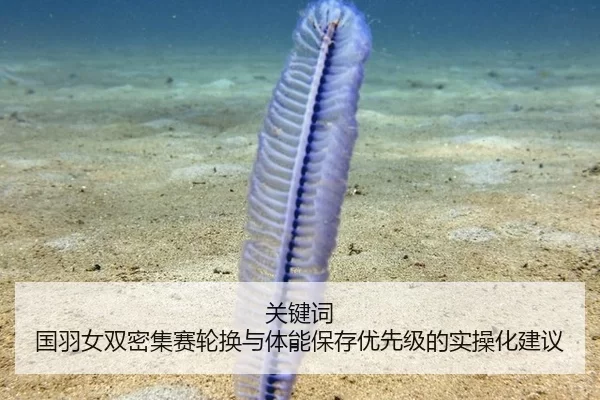 关键词 国羽女双密集赛轮换与体能保存优先级的实操化建议